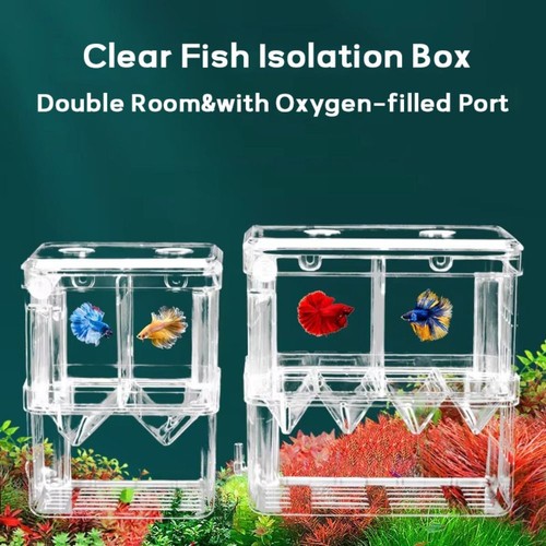 Double room fish - double,