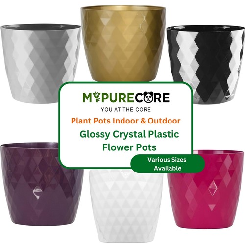 Plant pots 12cm 30cm - plant,
