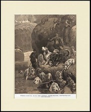 OTTERHOUND KENDAL DOG PACK