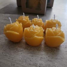 12 x 100% Pure ORGANIC Beeswax