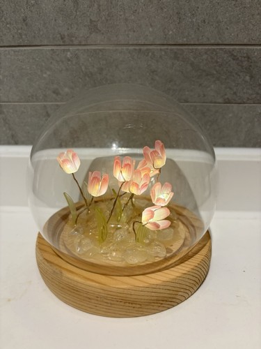Glass dome tulip led night - dome,