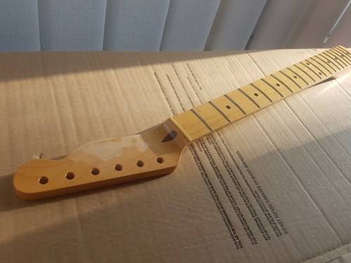 Fender telecaster maple - fender,