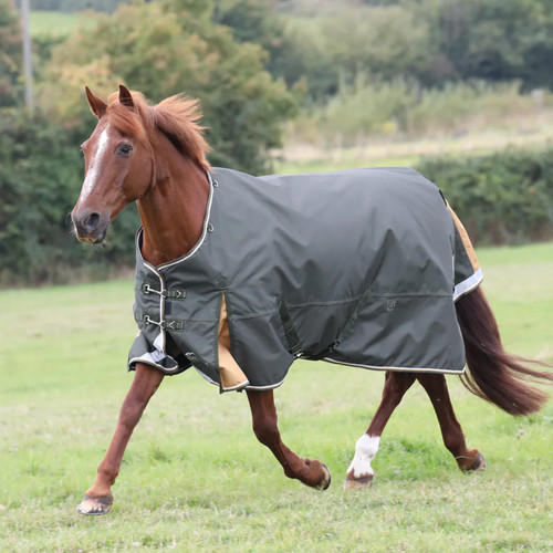 Shires highlander plus - shires,