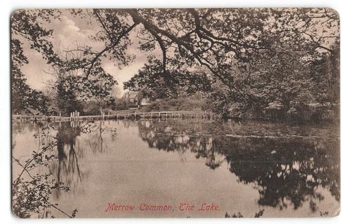 Merrow common the lake - common,