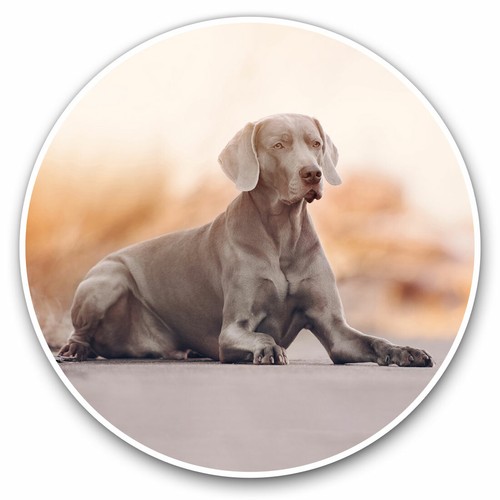 Vinyl stickers 15cm - 2,