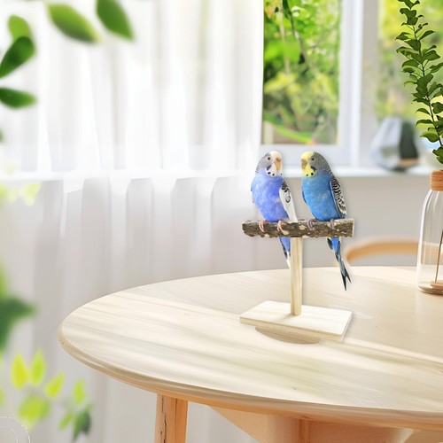 Bird stand perch toy playgound - bird,