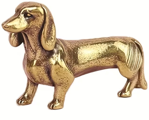 Dachshund sausage dog - dachshund, small