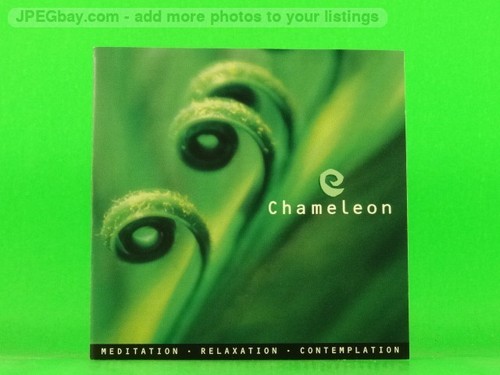 Chameleon meditation - chameleon,