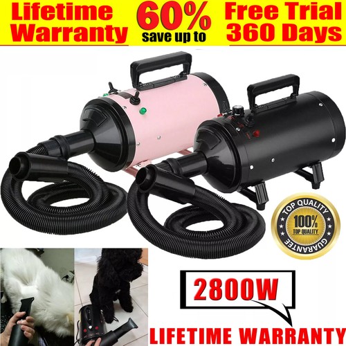 Dog hair dryer - dog,
