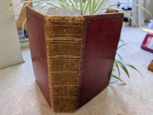 Book common prayer - common,