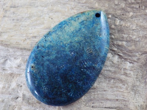 Blue fossil coral - blue, jasper