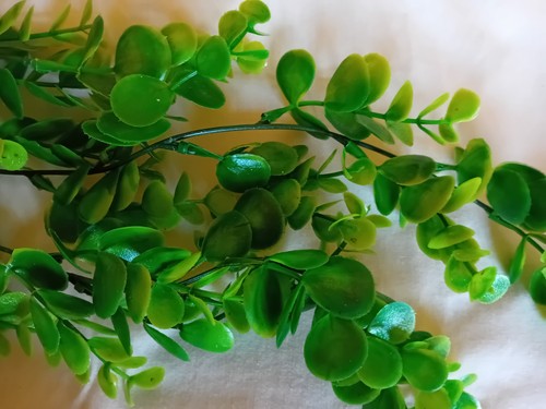 Artificial plastic vivarium - artificial,