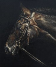 Lara-Horse/Equestrian Portrait-Limited Edition Wood Prints, Artist Signed