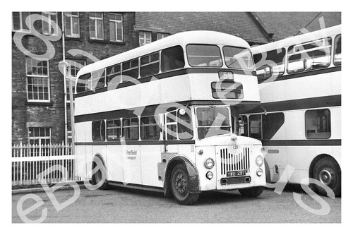 Bus photograph sheffield t - photograph,