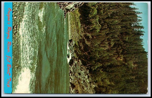 Postcard jet boat - jet,