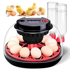 Egg Incubator, Automatic Egg