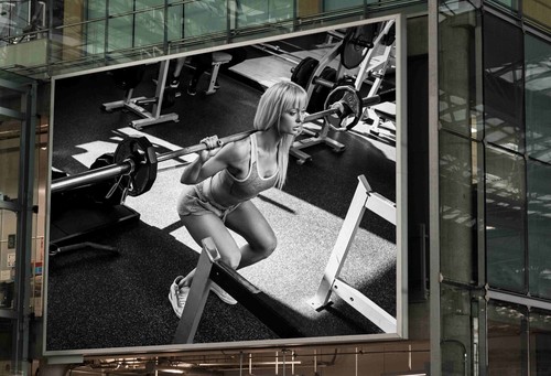 Sexy women gym poster fitness - sexy,