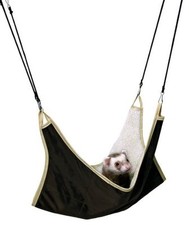 Ferret large cushy - ferret,