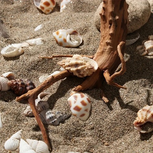 26cm sizes driftwood - 7-26cm,