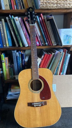 Acoustic guitar takeharu - guitar,