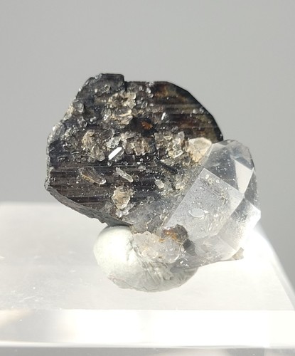 Brookite with quartz crystal - with,