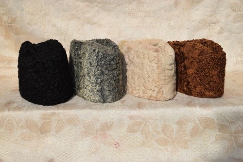 Karakul jinnah persian lamb - jinnah,