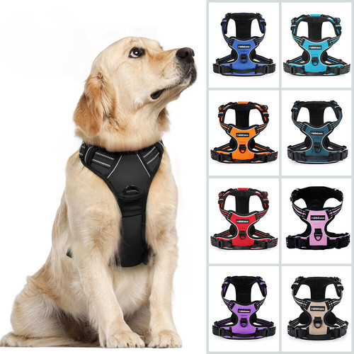 Pull pet dog harness with - pet,