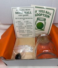 Marimo Moss Ball Kit - Plant