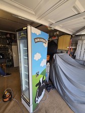 Ben & Jerry Slim-Line Upright Display Freezer Width 38cm BEN AND JERRRYS FREEZER