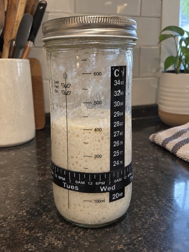 Active sourdough starter - sourdough, 50g