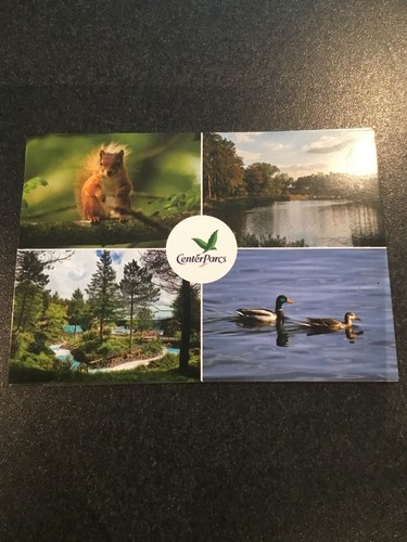 New center parcs postcard - center,