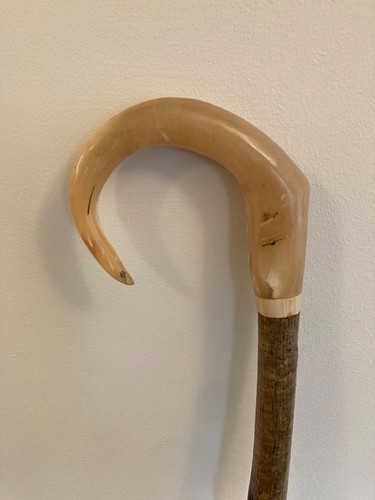 Rams horn crook handle - horn,