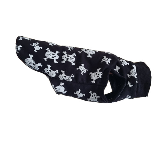 Kitten skulls clothes - kitten,