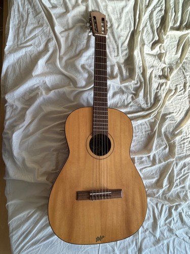 Hofner acoustic guitar