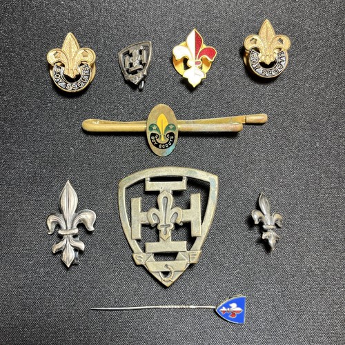 Vintage boy scouts fleur - vintage,