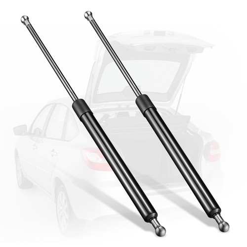 Heavy duty gas struts - heavy,