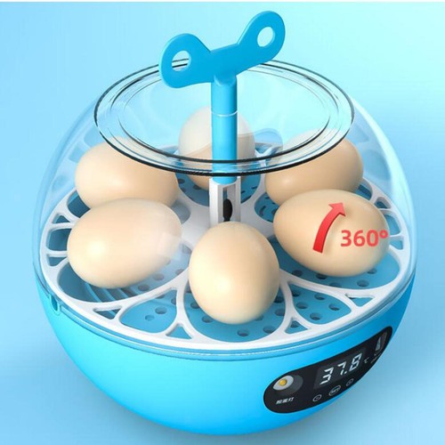 Mini egg incubator hatcher - egg,