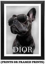 French Bulldog Fashion (A5 A4