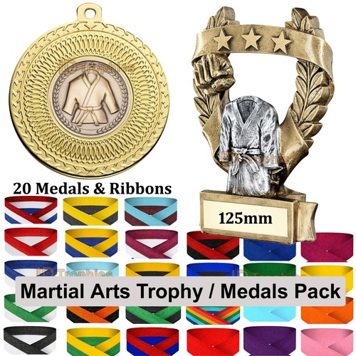 Martial arts trophy 20 - arts,
