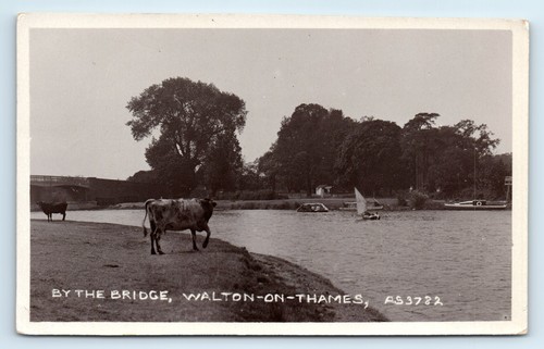 Postcard walton thames by - postcard,