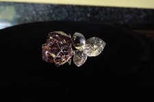 Swarovski Blossoming Rose (1113884)