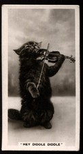 Tobacco Card, Cavanders