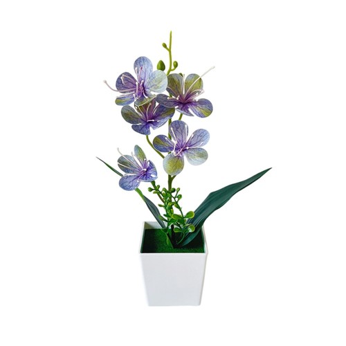 White pink purple yellowish - white,