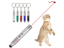 2 in 1 laser pen cat toy red