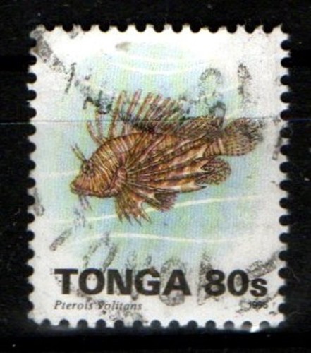 Stamp tonga 1995 fish - tonga,