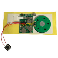 Greeting Card Recordable Voice