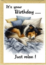 Rough Collie (Tri colour) Dog