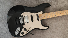 Esp Ltd 213 With Floyd Trem