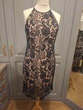 BRAND NEW DEBENHAMS DEBUT NAVY AND NUDE LACE OCCASION DRESS SIZE 14