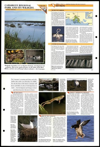Camargue regional park 50 - regional, #50
